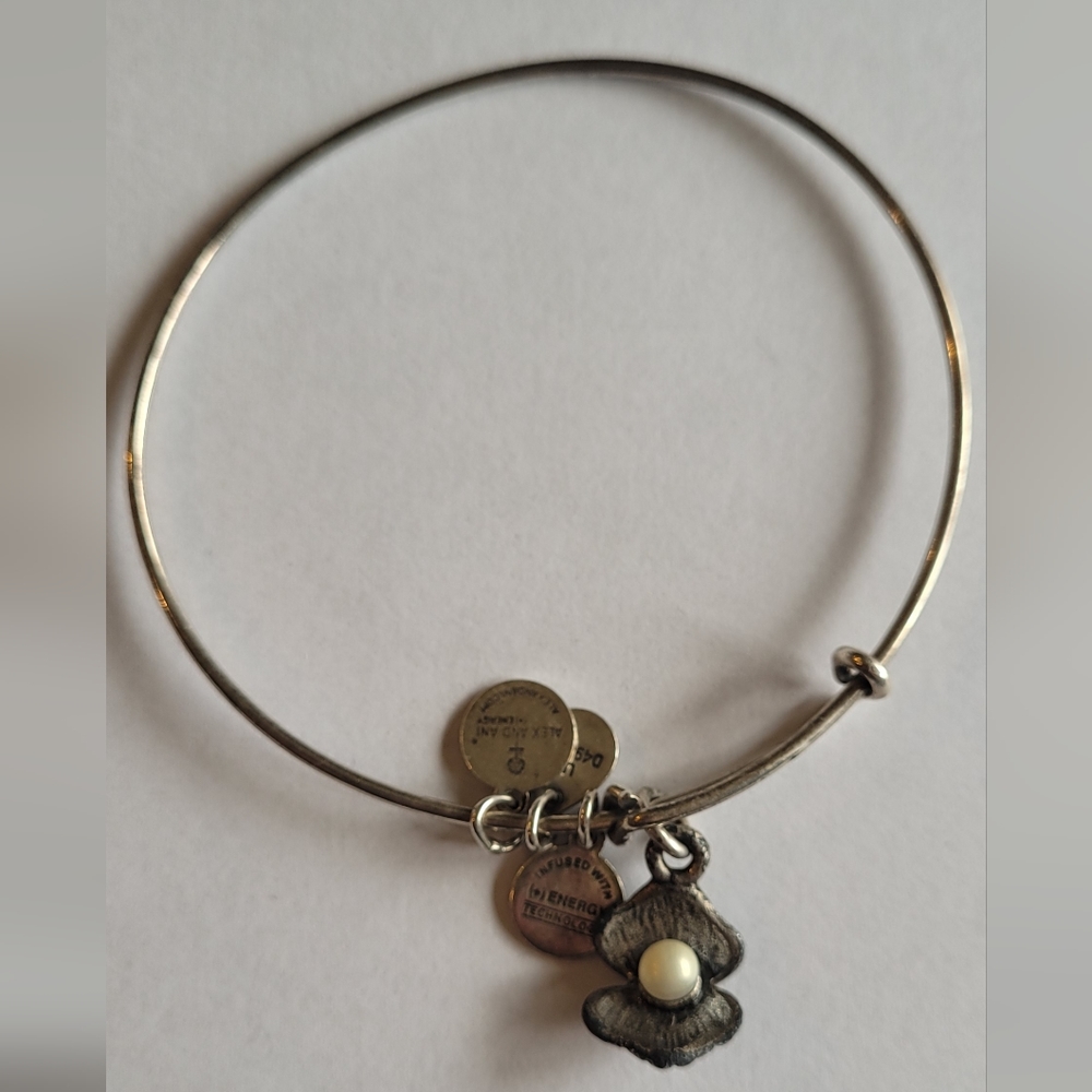 Oyster charm Alex and Ani
